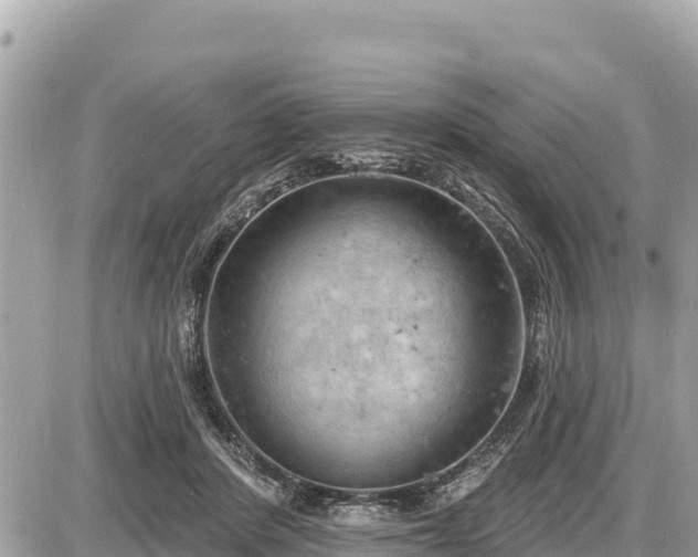 X0000087550408200705041333