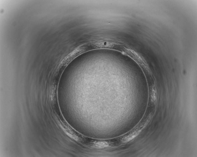 X0000087550409200705041333