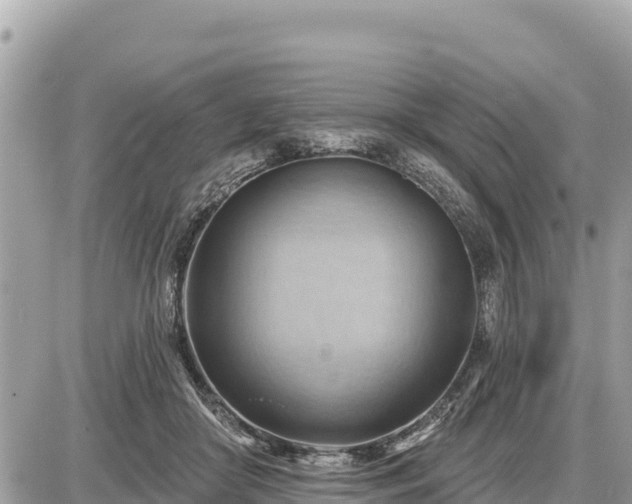 X0000087550410200705041333