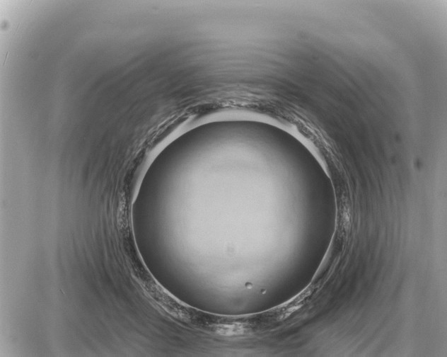 X0000087550411200705041333