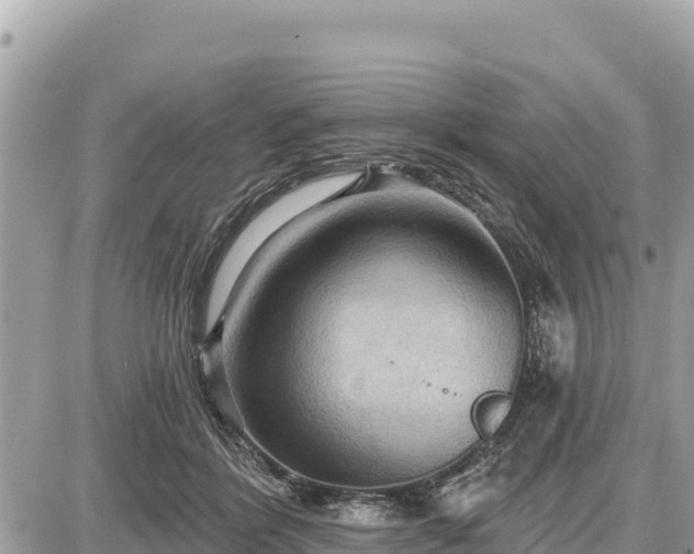 X0000087550412200705041333