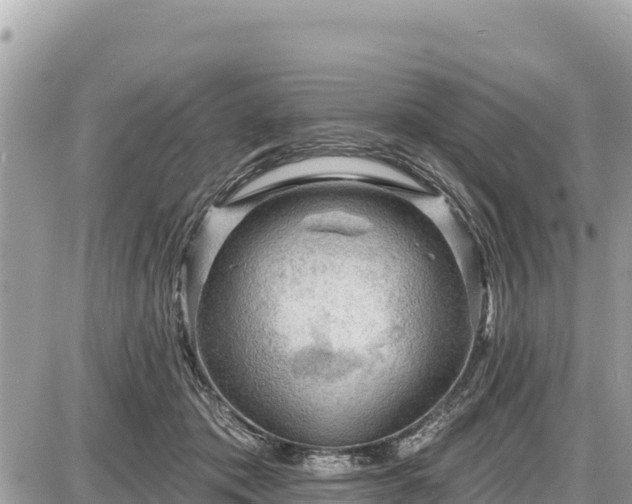 X0000087550413200705041333