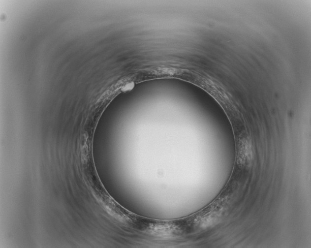 X0000087550414200705041333