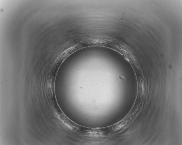 X0000087550415200705041333