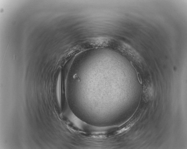 X0000087550416200705041333