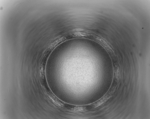 X0000087550418200705041333