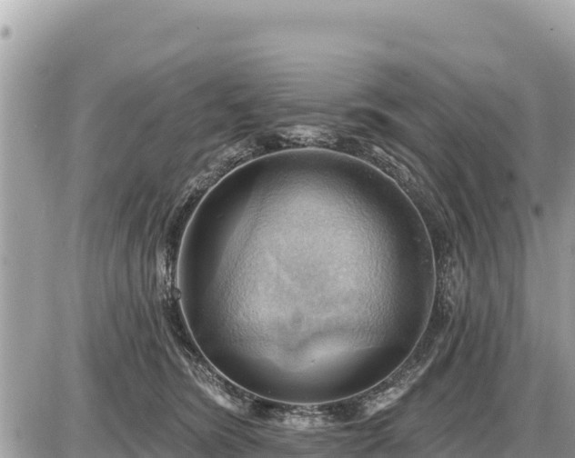 X0000087550420200705041333