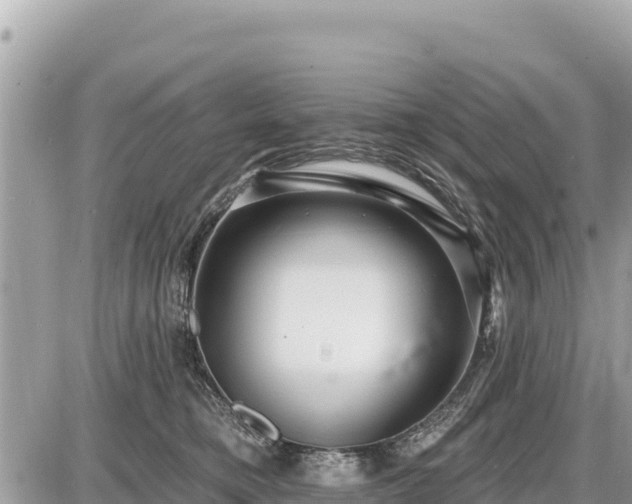 X0000087550421200705041333