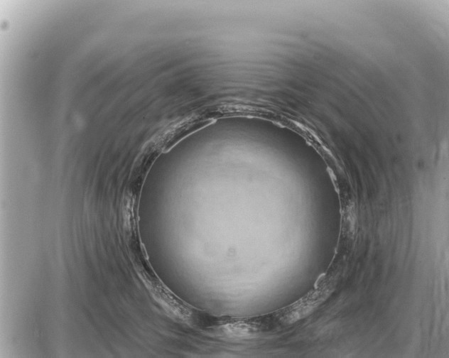 X0000087550423200705041333