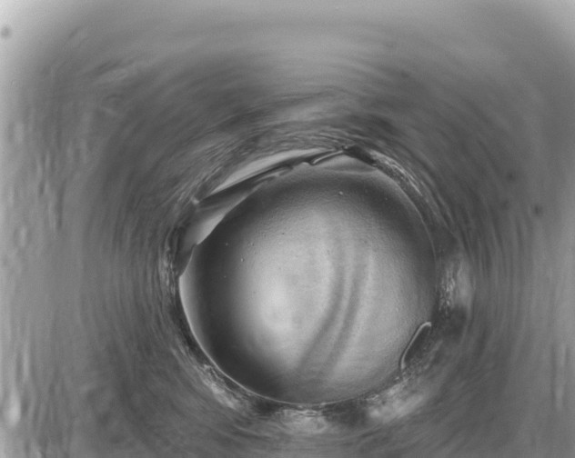 X0000087550424200705041333