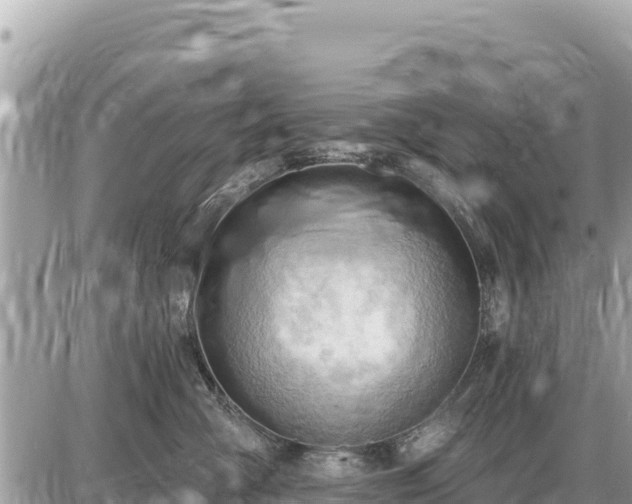 X0000087550427200705041332