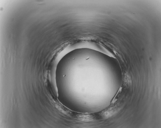 X0000087550428200705041332