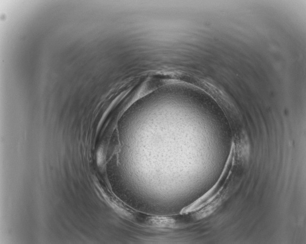 X0000087550429200705041332