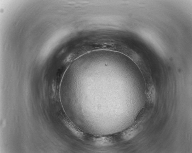 X0000087550430200705041332