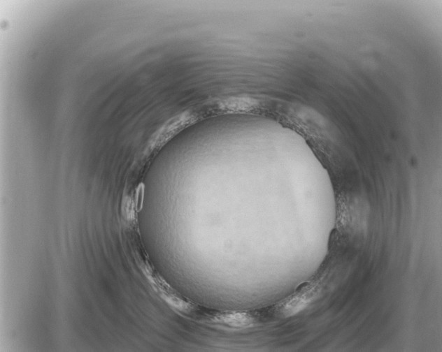 X0000087550431200705041332