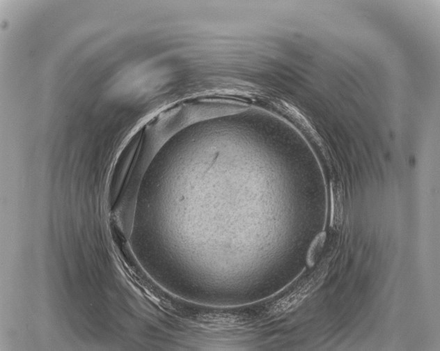 X0000087550435200705041332