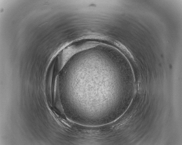 X0000087550436200705041332