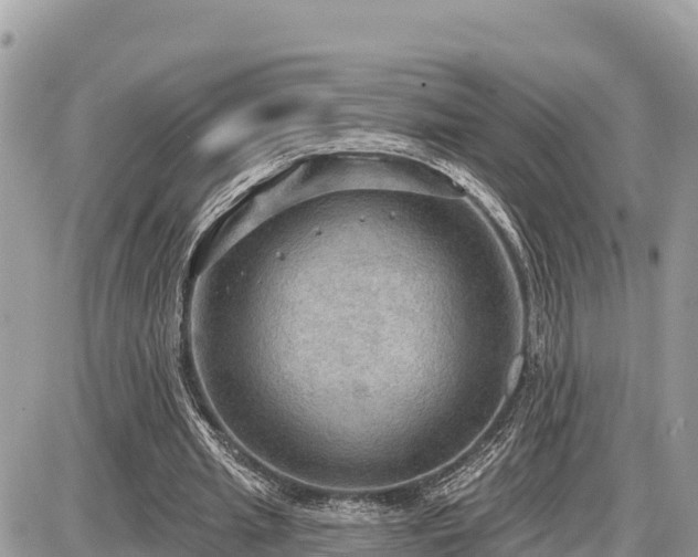 X0000087550437200705041332