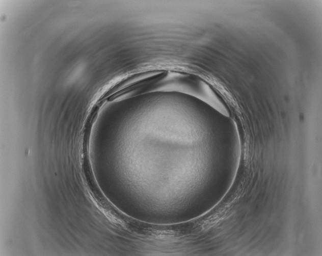 X0000087550438200705041332