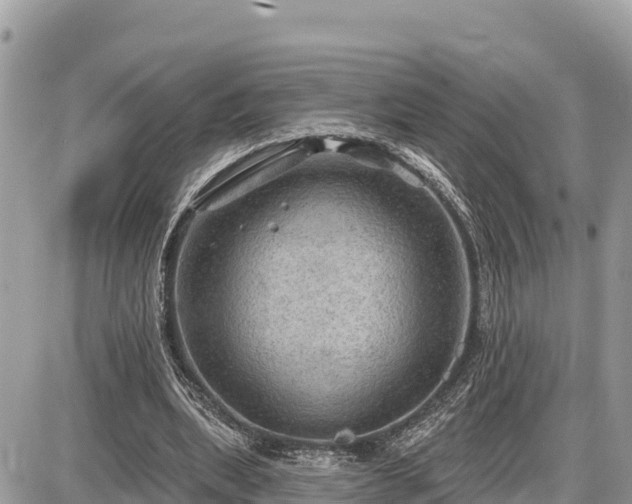 X0000087550439200705041332