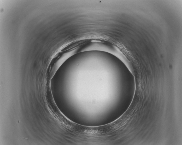 X0000087550440200705041332