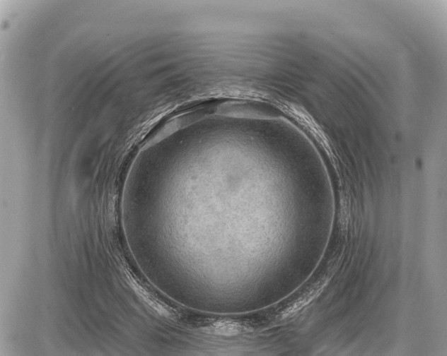 X0000087550441200705041332