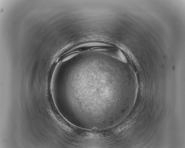 X0000087550442200705041332