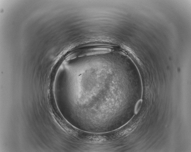 X0000087550443200705041332