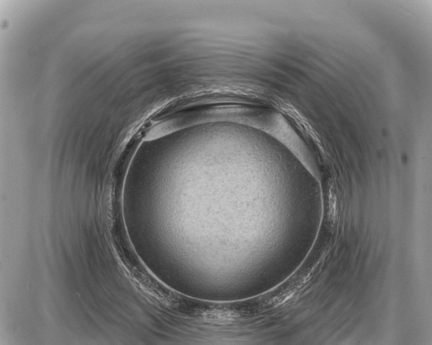 X0000087550444200705041332