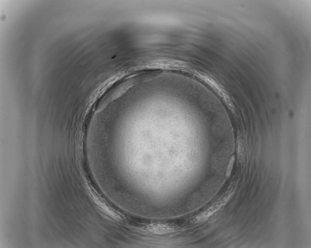 X0000087550445200705041332