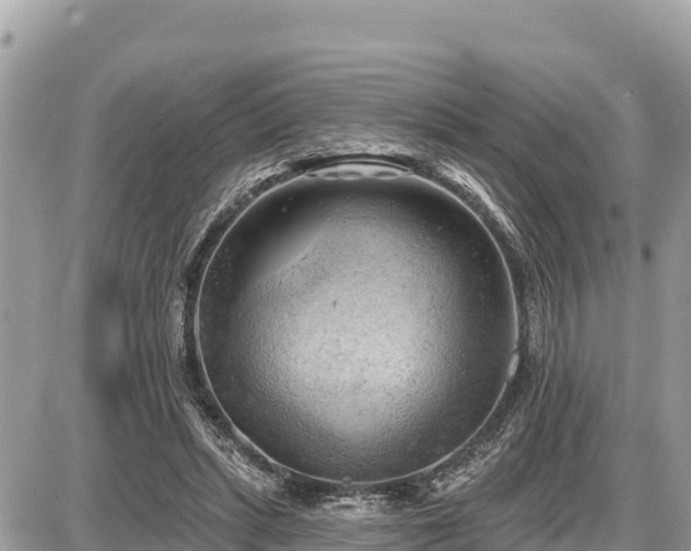 X0000087550447200705041332