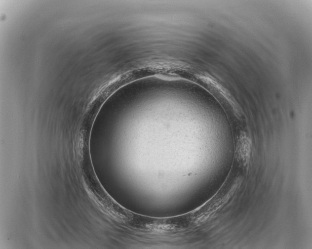 X0000087550448200705041332