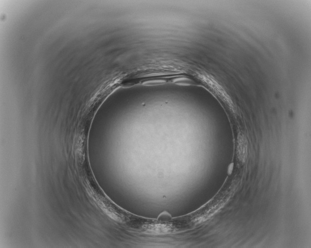 X0000087550449200705041332