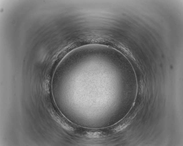 X0000087550450200705041332