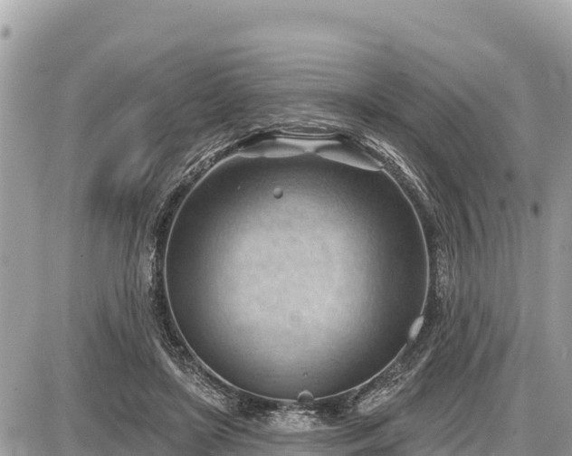 X0000087550451200705041332