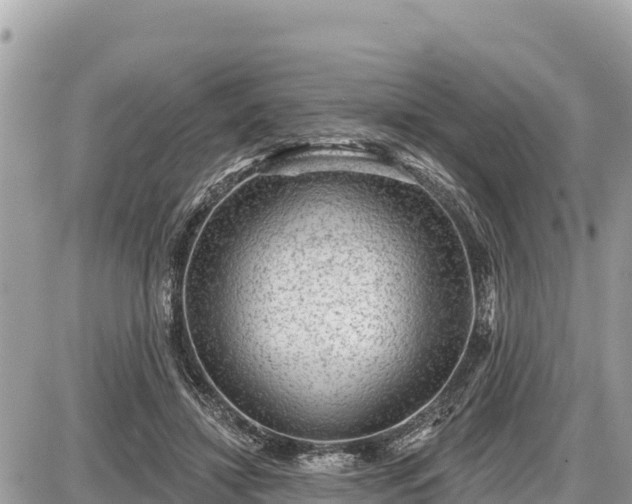 X0000087550452200705041332