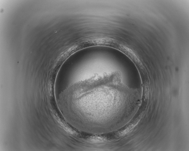 X0000087550453200705041332