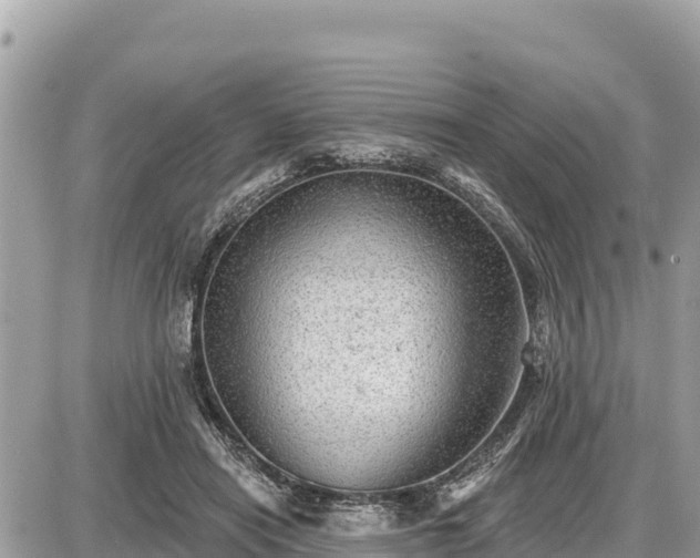 X0000087550454200705041332