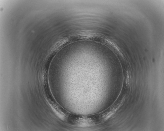 X0000087550455200705041332