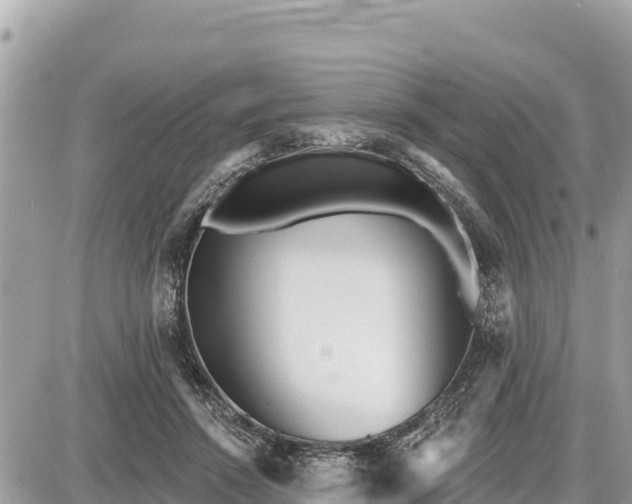 X0000087550456200705041332