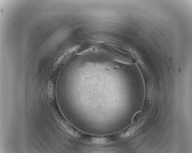 X0000087550457200705041332