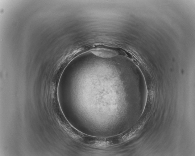 X0000087550458200705041332