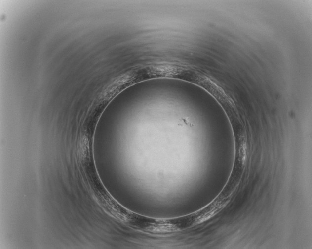 X0000087550459200705041332