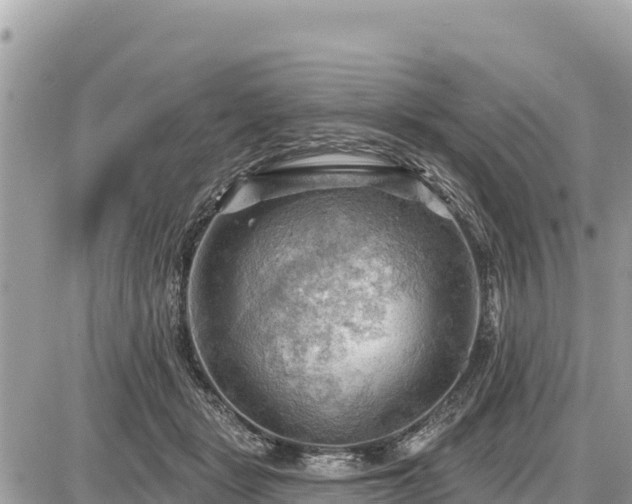 X0000087550461200705041332