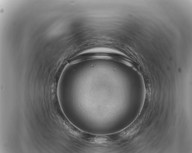 X0000087550462200705041332