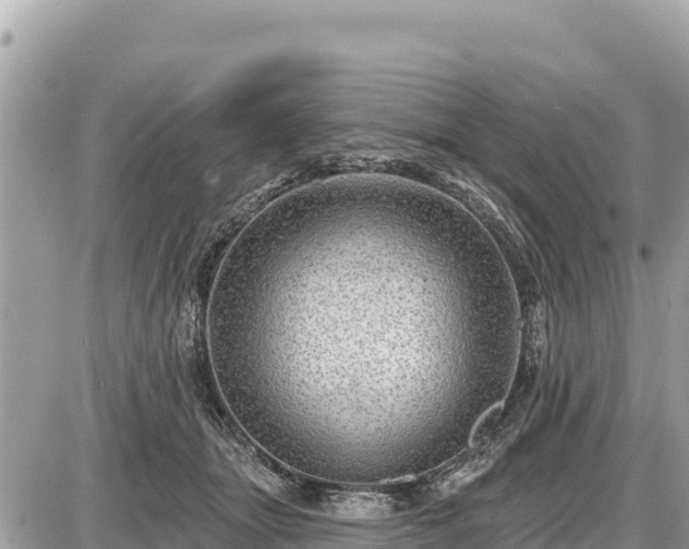 X0000087550463200705041332