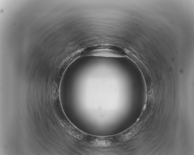 X0000087550464200705041332