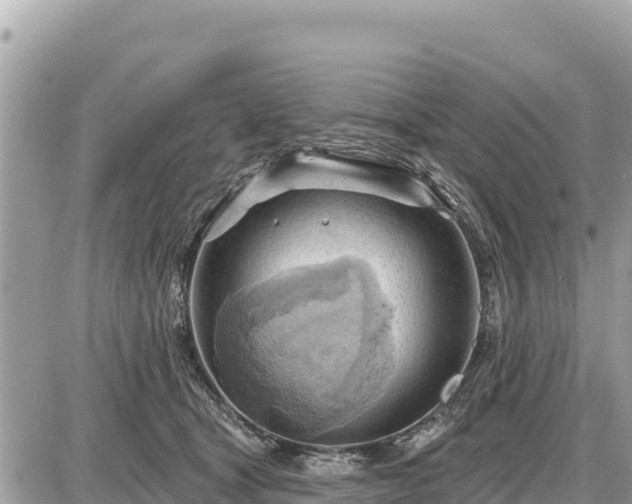 X0000087550465200705041332