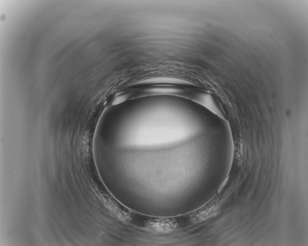 X0000087550466200705041332