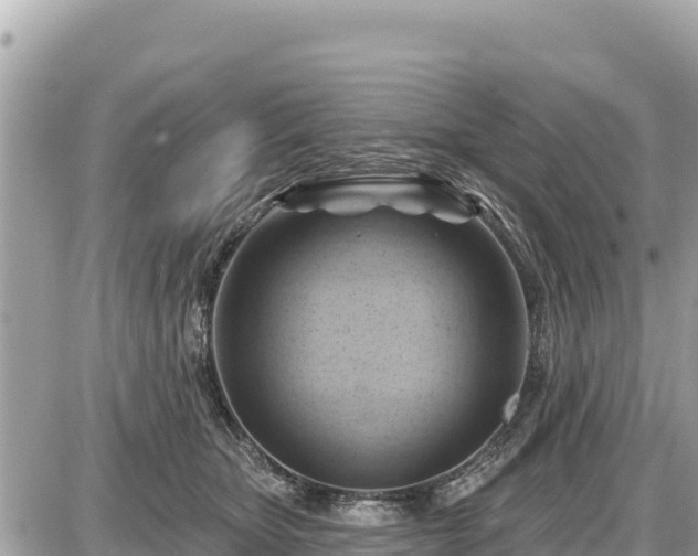 X0000087550467200705041332